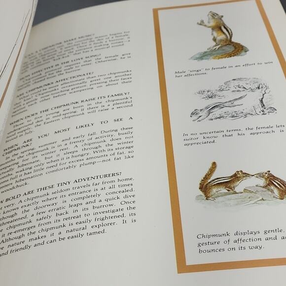 Character Sketches from the Pages of Scripture Illustrated Gothard 1st Edition - Picture 12 of 15